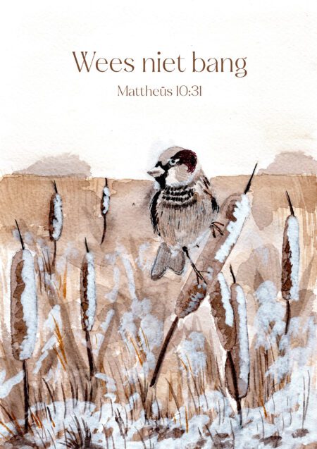 Mattheüs 10:31 - Wees niet bang